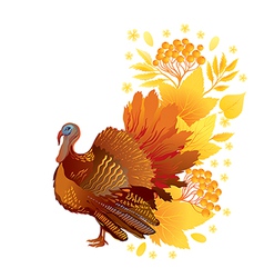 Thanksgiving turkey and cornucopia Royalty Free Vector Image