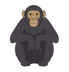 chimp vector images over 2 300