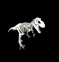 Graphical skeleton tyrannosaurus isolated Vector Image