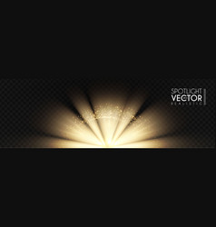 Spotlights transparent light effect show design Vector Image