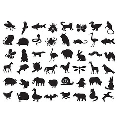 Animals Royalty Free Vector Image - VectorStock