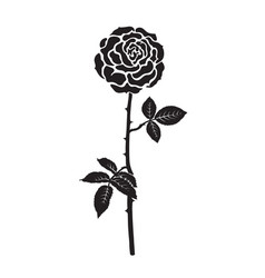 Rose sketch 001 Royalty Free Vector Image - VectorStock