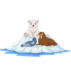 Cute baby seal cartoon Royalty Free Vector Image