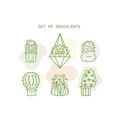 Featured image of post Cute Succulent Line Drawing Line drawing is very basic but it can be tricky