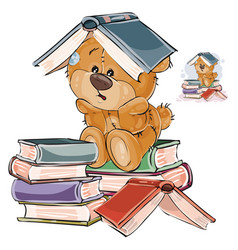 teddy bear reading book vector images over 120