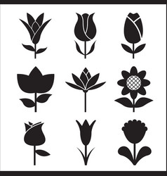 Set of flower flat flowers icons Royalty Free Vector Image
