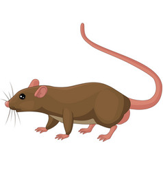 Cute mouse cartoon Royalty Free Vector Image - VectorStock