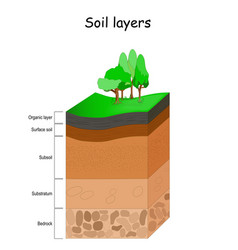 Layers of the atmosphere Royalty Free Vector Image