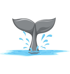 Whale Tail Drawing Vector Images Over 1 300