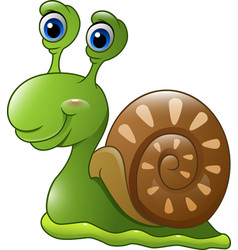 Cartoon turtles and snails cute white background Vector Image