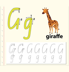 A letter G for giraffe Royalty Free Vector Image