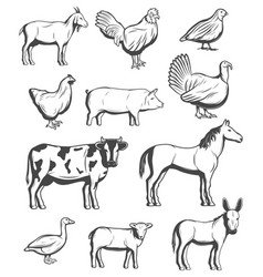 Farm agriculture and cattle Royalty Free Vector Image