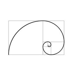 Golden ratio proportion spiral section Royalty Free Vector