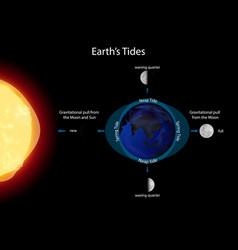 Alignment of Sun Earth and Moon Royalty Free Vector Image