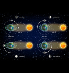 Low and high moon tides education diagram Vector Image