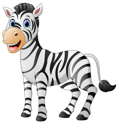 Cute baby zebra cartoon Royalty Free Vector Image