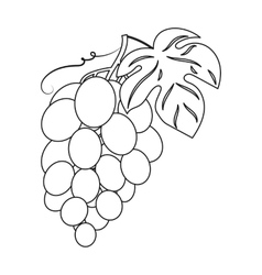 Cluster grape icon outline style Royalty Free Vector Image