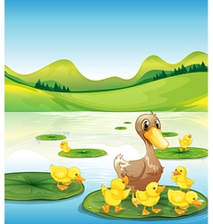 Brown duck and her four yellow ducklings Vector Image