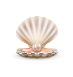 Open oyster sea shell with valuable pearl isolated