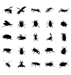 Stag beetle Royalty Free Vector Image - VectorStock