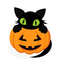 Cartoon black cat sitting in halloween pumpkin Vector Image