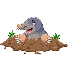 Cartoon cute mole Royalty Free Vector Image - VectorStock