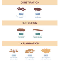 Bristol stool chart infographic flat Royalty Free Vector