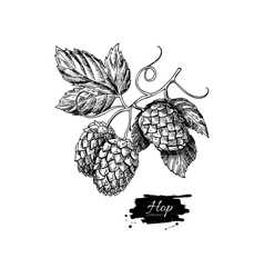 Bitter Brew PDF Free Download Bitter Brew PDF Free Download