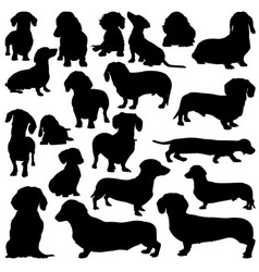 Silhouettes of dogs Royalty Free Vector Image - VectorStock