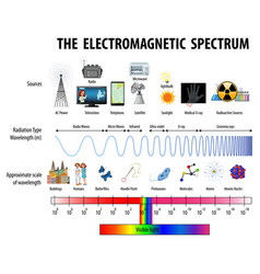 Science electromagnetic spectrum diagram Vector Image