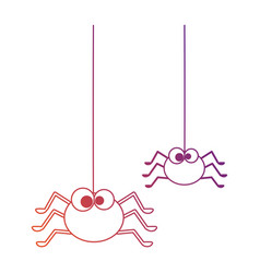 Cute spiders with spiderweb halloween decoration Vector Image