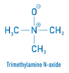 Trimethylamine n-oxide molecule skeletal formula Vector Image