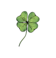 Clover sketch hand drawn four leaf clover Vector Image