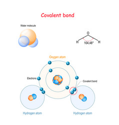 Atp structural chemical formula and model Vector Image