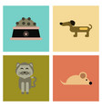 assembly flat icons pets and accessories vector image vector image