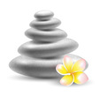 spa stone vector image