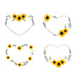 yellow sunflower wild flower and eucalyptus leaf vector image