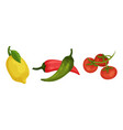 hot pepper and tomatoes as ingredients for tom yum vector image vector image