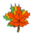 maple leaves icon cartoon vector image