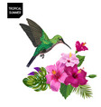 summer tropical design with hummingbird flowers vector image vector image