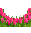 holiday background with bouquet of red flowers vector image vector image