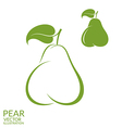 green pear vector image