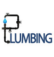 plumbing inscription with tool and water pipes vector image
