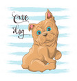 postcard a cute little dog bulldog vector image