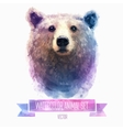 set of watercolor cute bear vector image