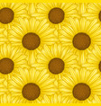 beautiful seamless pattern with flowers daisy vector image vector image