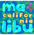 t shirt typography graphics malibu beach vector image
