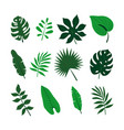 tropical leaves set jungle palm collection vector image