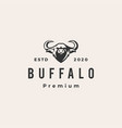buffalo hipster vintage logo icon vector image
