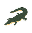 crocodile isometric icon vector image